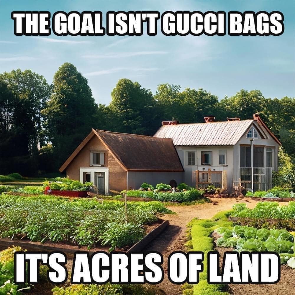 This meme is a play on the phrase "the goal is to get the bag," a popular saying that means achieving success or wealth. The image shows a large house and garden, with the caption "the goal is to get the bag" above it, and the response "but the goal is to get the land" below it. The meme is poking fun at the idea that people often focus on material wealth, but the real goal is to have a stable and secure life, like owning a house and land, rather than just wealth.